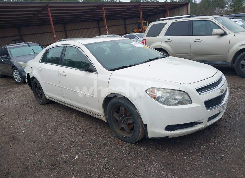 2008 Chevrolet Malibu LT (VIN 1G1ZH57B18F179364) main photo