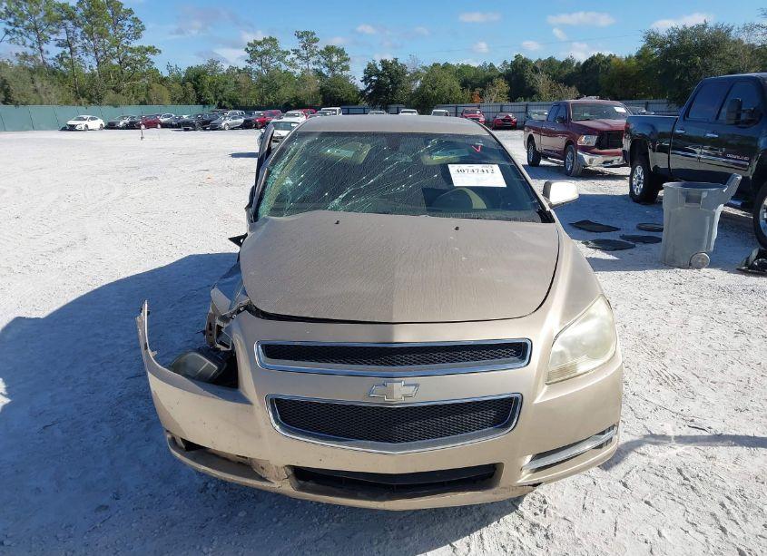 Photo 12 of 2008 Chevrolet Malibu LT (VIN 1G1ZH57B78F177182)