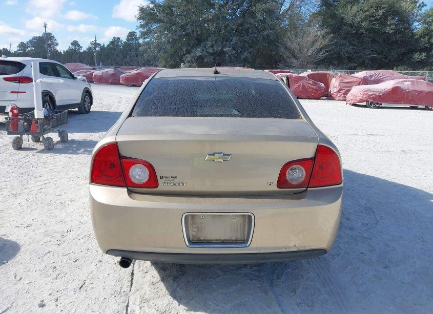 Photo 16 of 2008 Chevrolet Malibu LT (VIN 1G1ZH57B78F177182)