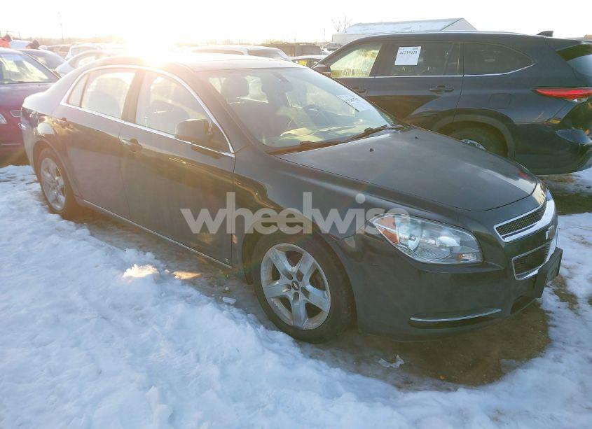 2009 Chevrolet Malibu LT (VIN 1G1ZH57B89F124556) main photo