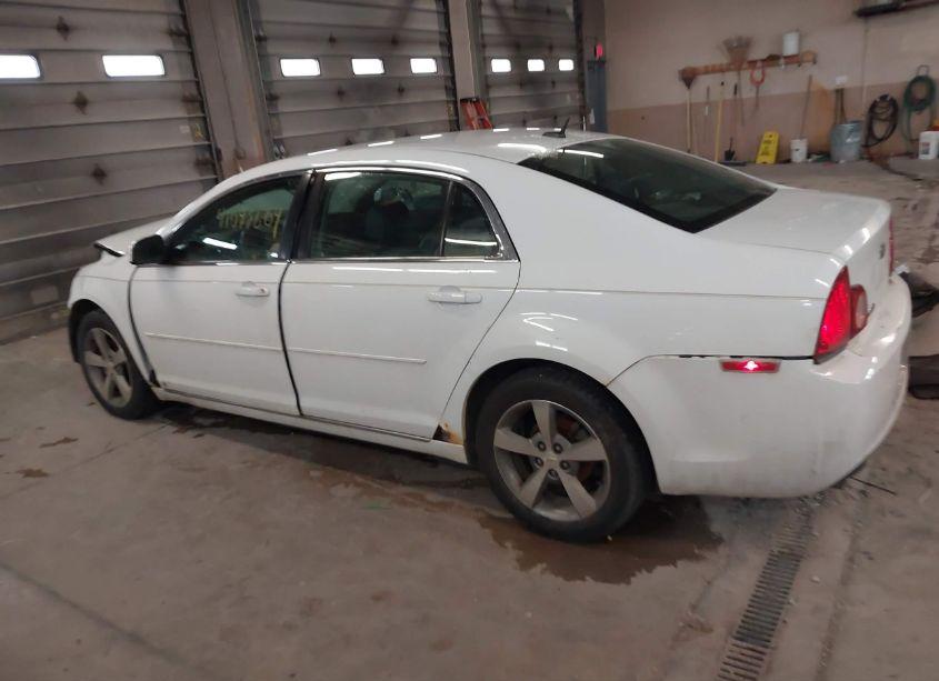 Photo 14 of 2009 Chevrolet Malibu LT (VIN 1G1ZJ57B394153155)