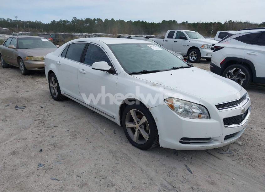 2009 Chevrolet Malibu LT (VIN 1G1ZJ57B494200046) main photo