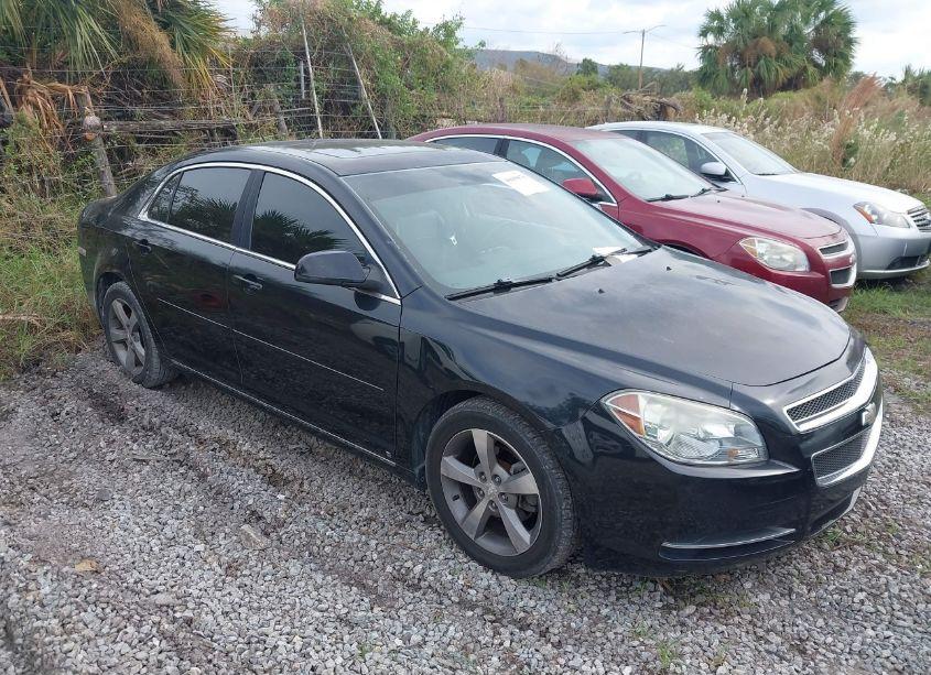2009 Chevrolet Malibu LT (VIN 1G1ZJ57B89F127297) main photo