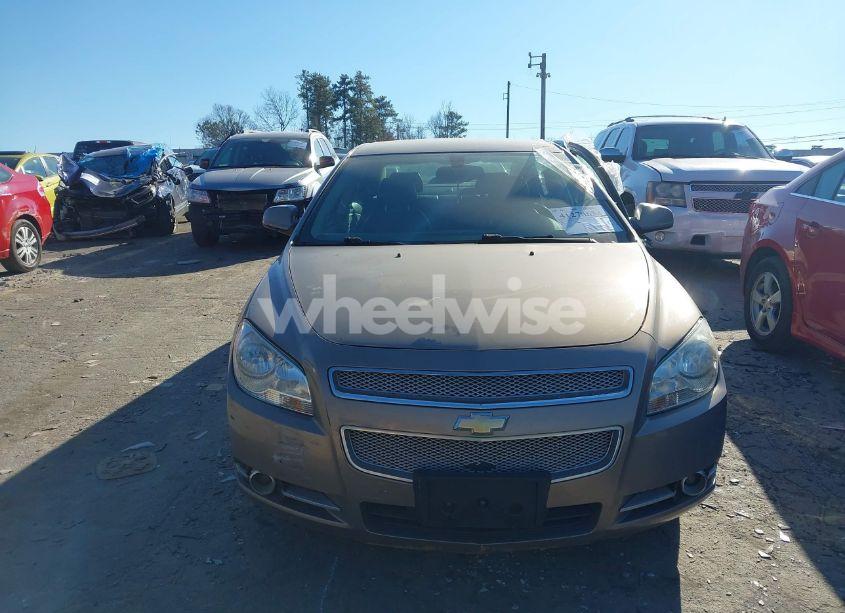 Photo 11 of 2008 Chevrolet Malibu LTZ (VIN 1G1ZK57728F197935)