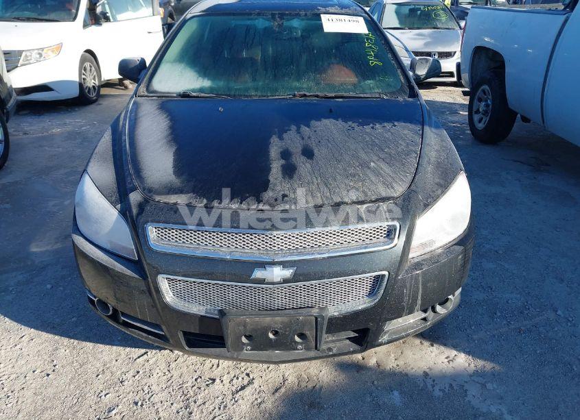 Photo 6 of 2008 Chevrolet Malibu LTZ (VIN 1G1ZK57748F175161)