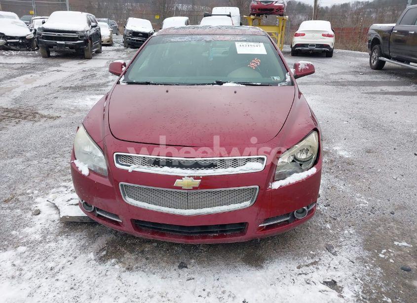 Photo 6 of 2008 Chevrolet Malibu LTZ (VIN 1G1ZK57788F203835)