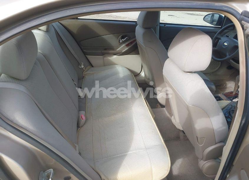 Photo 8 of 2006 Chevrolet Malibu LS (VIN 1G1ZS51F66F231730)