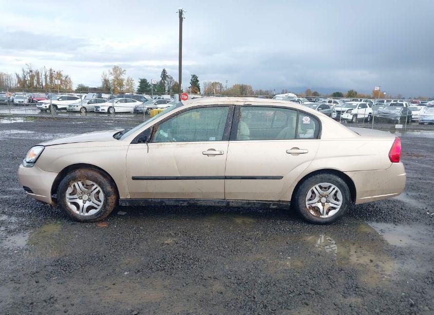 Photo 14 of 2005 Chevrolet Malibu (VIN 1G1ZS52F35F106830)