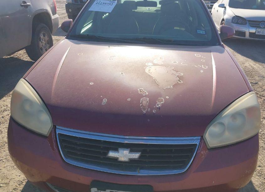 Photo 10 of 2006 Chevrolet Malibu LT (VIN 1G1ZT51896F175149)