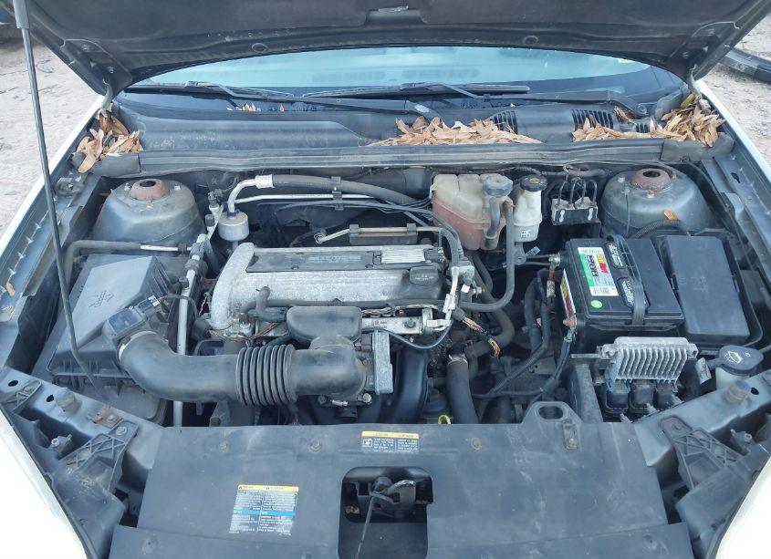 Photo 10 of 2006 Chevrolet Malibu LT (VIN 1G1ZT51F16F211009)