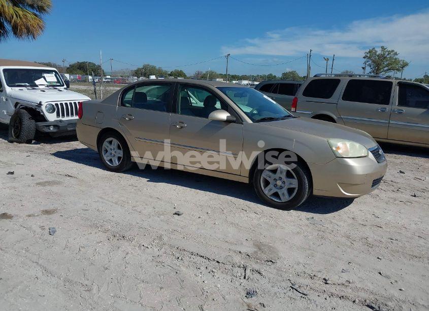 2006 Chevrolet Malibu LT (VIN 1G1ZT51F46F209125) main photo