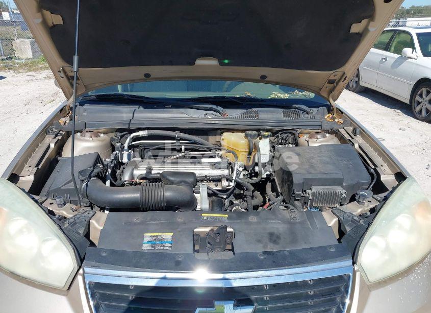 Photo 10 of 2006 Chevrolet Malibu LT (VIN 1G1ZT51F46F209125)