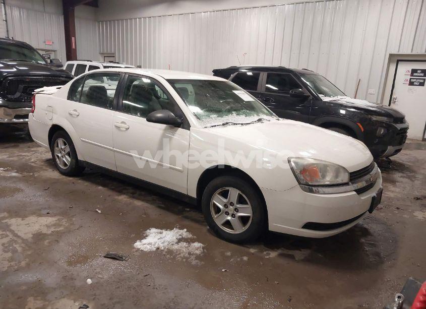 2005 Chevrolet Malibu LS (VIN 1G1ZT52815F299378) main photo