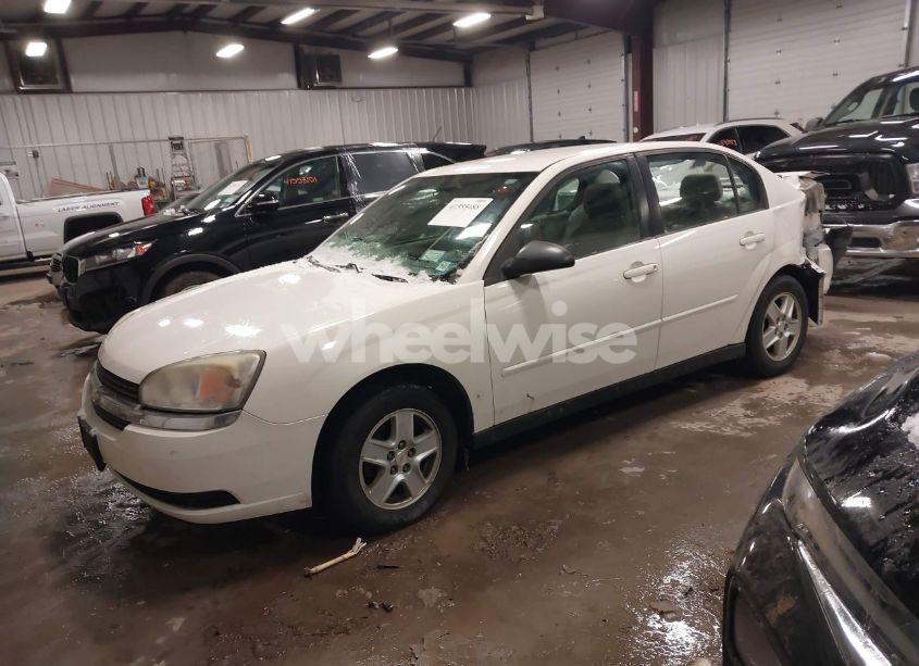 Photo 2 of 2005 Chevrolet Malibu LS (VIN 1G1ZT52815F299378)