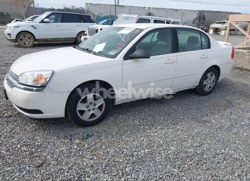 Photo 2 of 2005 Chevrolet Malibu LS (VIN 1G1ZT52825F262274)