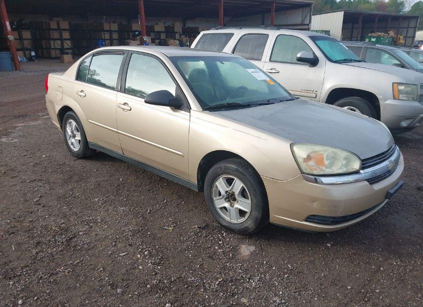 2004 Chevrolet Malibu LS (VIN 1G1ZT52834F162991) main photo