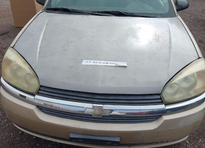 Photo 10 of 2004 Chevrolet Malibu LS (VIN 1G1ZT52834F162991)