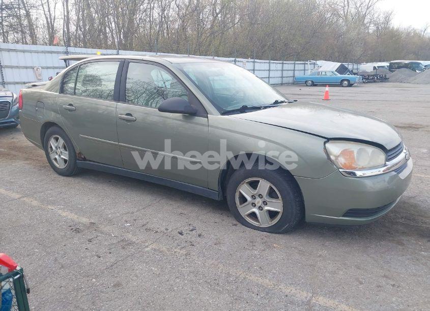 2005 Chevrolet Malibu LS (VIN 1G1ZT52845F275494) main photo
