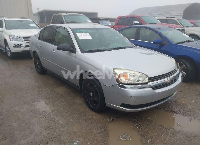 2005 Chevrolet Malibu LS (VIN 1G1ZT52845F308297) main photo