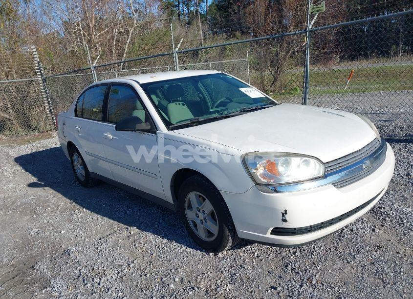 2005 Chevrolet Malibu LS (VIN 1G1ZT52855F339381) main photo