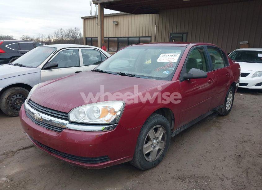 Photo 2 of 2005 Chevrolet Malibu LS (VIN 1G1ZT52865F269521)