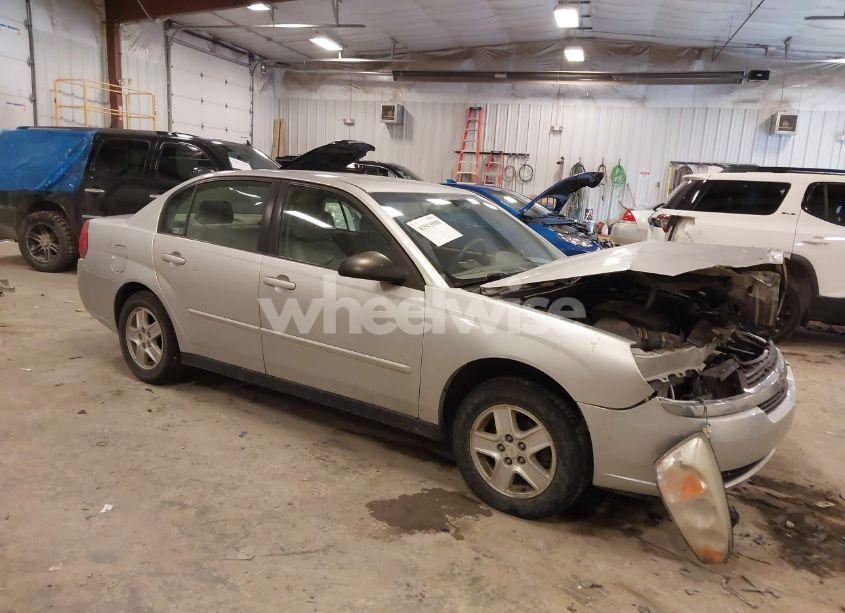 2005 Chevrolet Malibu LS (VIN 1G1ZT52875F243705) main photo