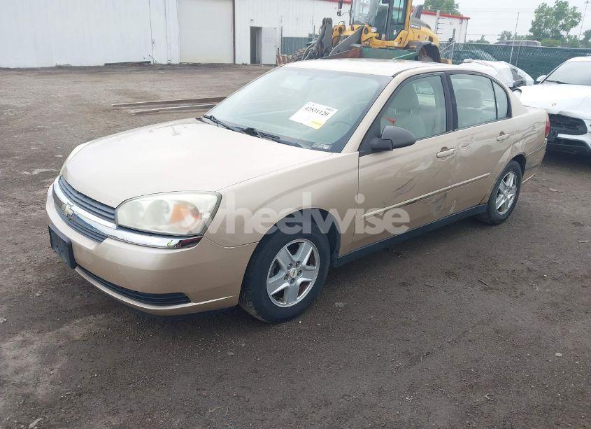 Photo 2 of 2005 Chevrolet Malibu LS (VIN 1G1ZT54805F193811)