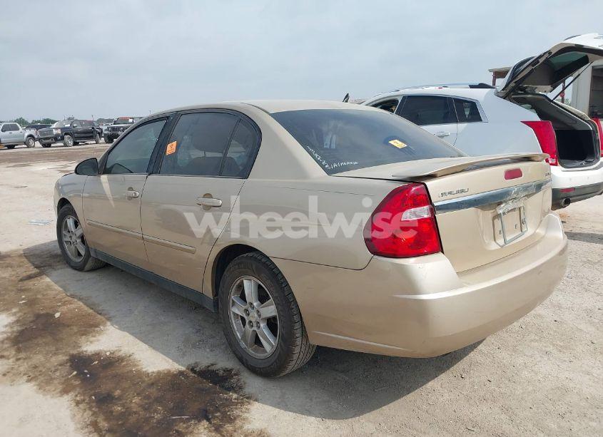 Photo 3 of 2005 Chevrolet Malibu LS (VIN 1G1ZT54805F208016)