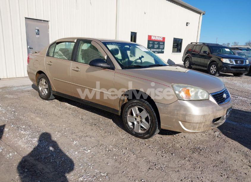 2004 Chevrolet Malibu LS (VIN 1G1ZT54814F131364) main photo