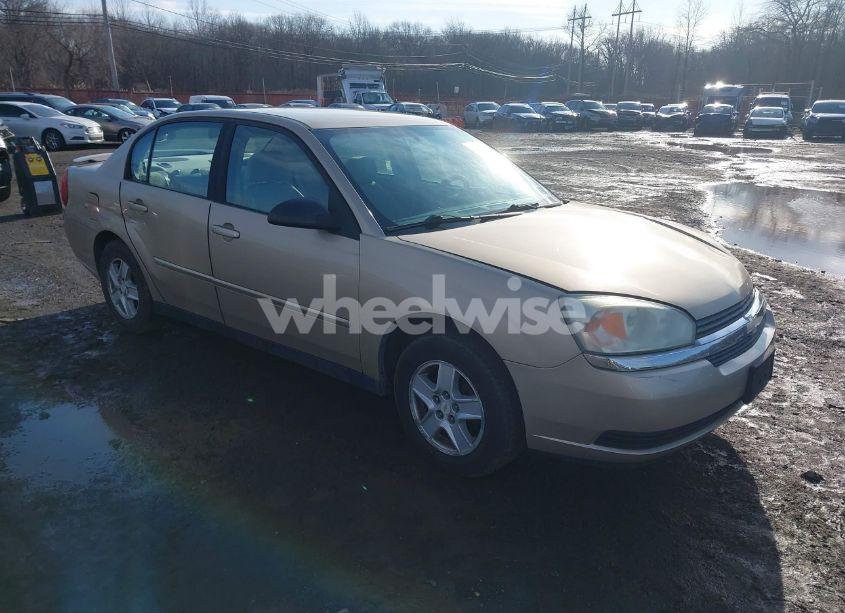2004 Chevrolet Malibu LS (VIN 1G1ZT54814F176434) main photo