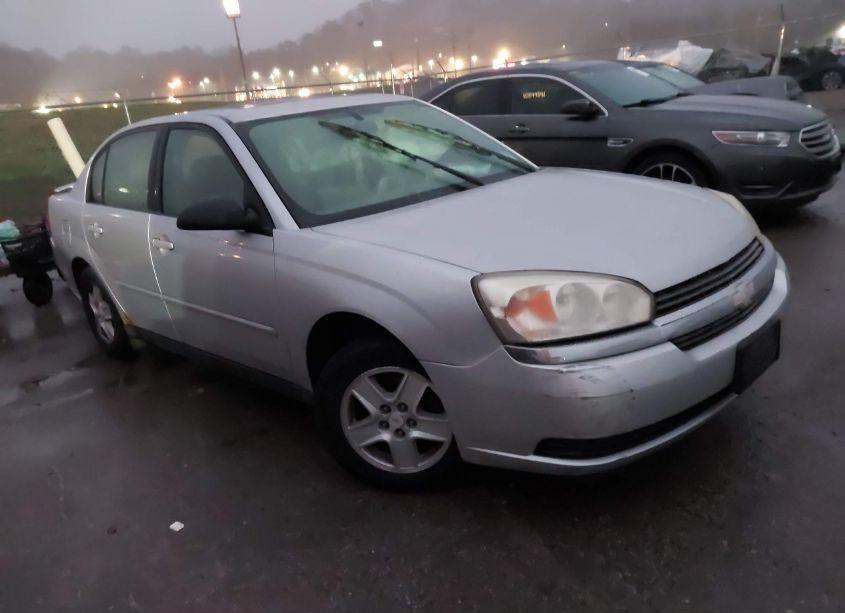 2005 Chevrolet Malibu LS (VIN 1G1ZT54825F132203) main photo