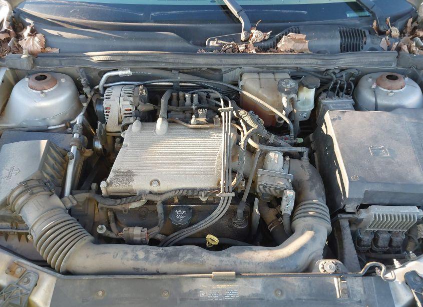 Photo 10 of 2005 Chevrolet Malibu LS (VIN 1G1ZT54825F132203)