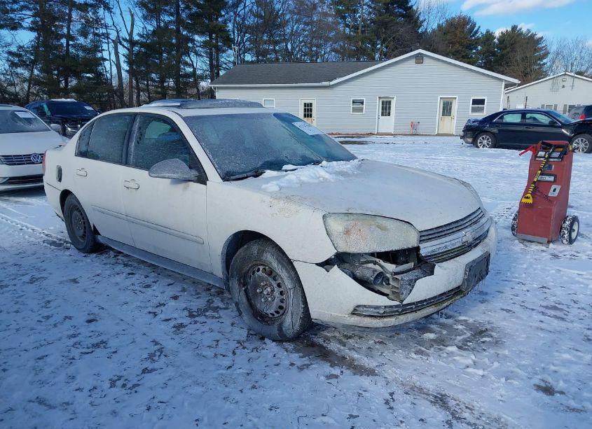 2005 Chevrolet Malibu LS (VIN 1G1ZT54835F188442) main photo