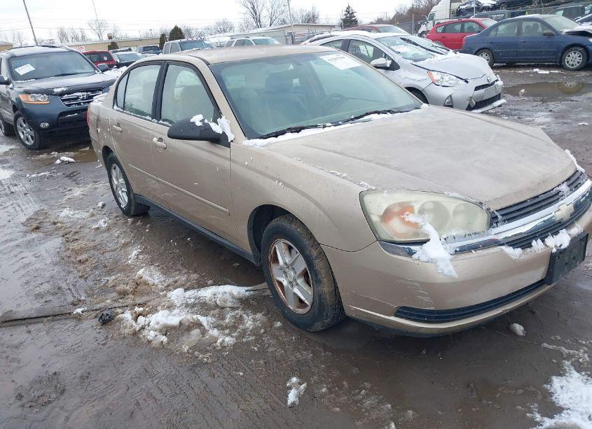 2004 Chevrolet Malibu LS (VIN 1G1ZT54844F113053) main photo