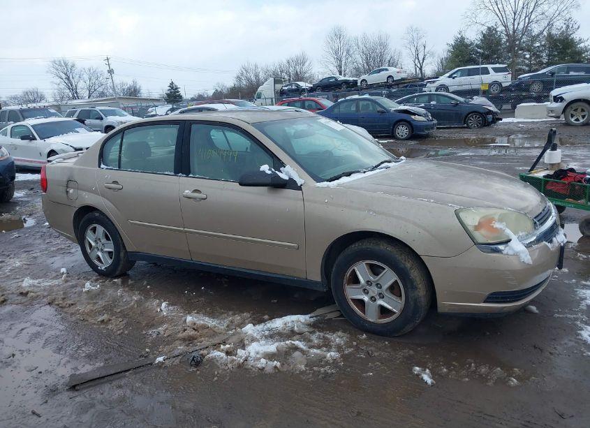 Photo 13 of 2004 Chevrolet Malibu LS (VIN 1G1ZT54844F113053)