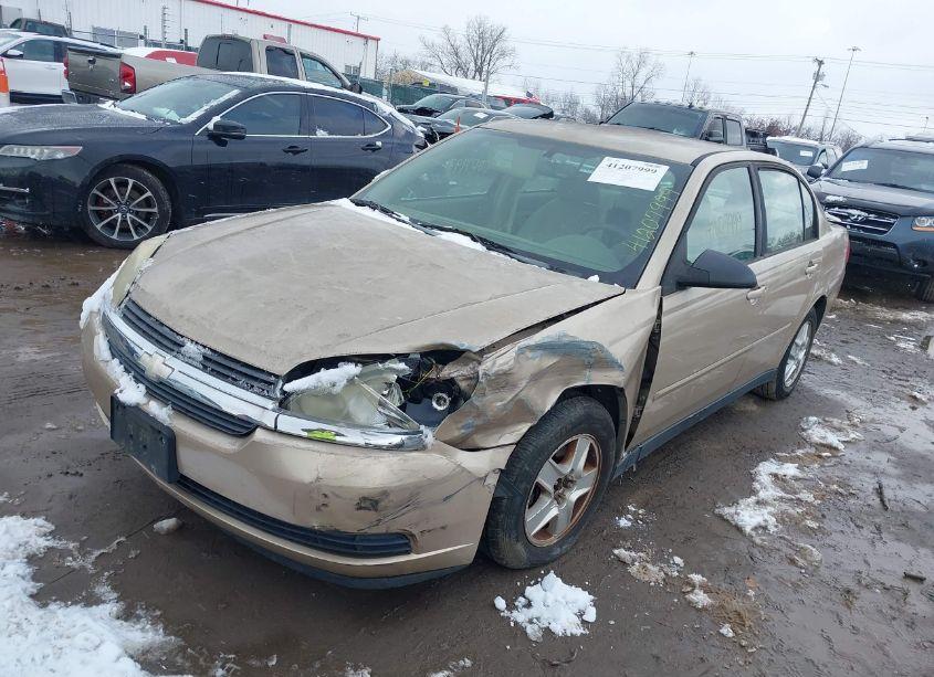 Photo 6 of 2004 Chevrolet Malibu LS (VIN 1G1ZT54844F113053)