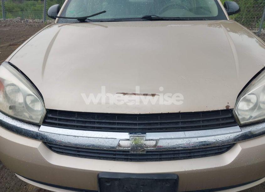 Photo 6 of 2004 Chevrolet Malibu LS (VIN 1G1ZT54864F117654)