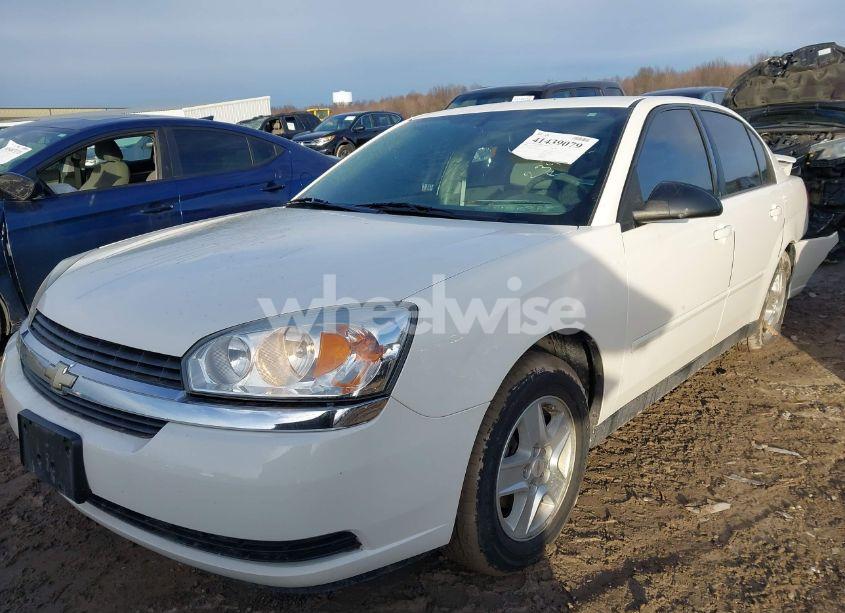 Photo 2 of 2005 Chevrolet Malibu LS (VIN 1G1ZT54865F234782)
