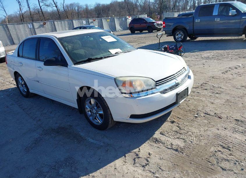 2005 Chevrolet Malibu LS (VIN 1G1ZT54865F328015) main photo