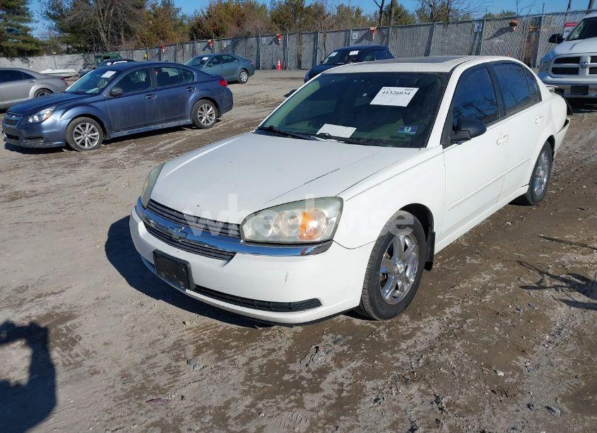 Photo 2 of 2005 Chevrolet Malibu LS (VIN 1G1ZT54865F328015)