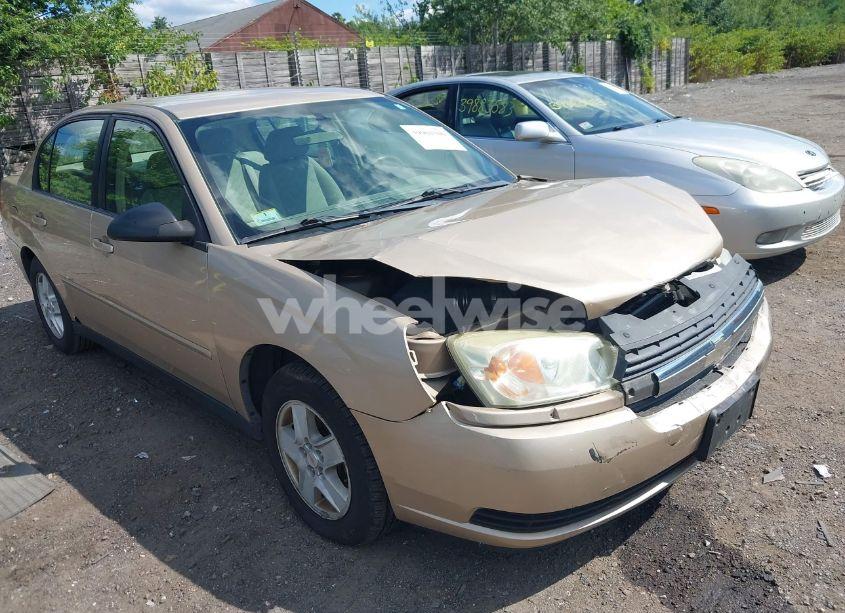 2004 Chevrolet Malibu LS (VIN 1G1ZT54874F122166) main photo