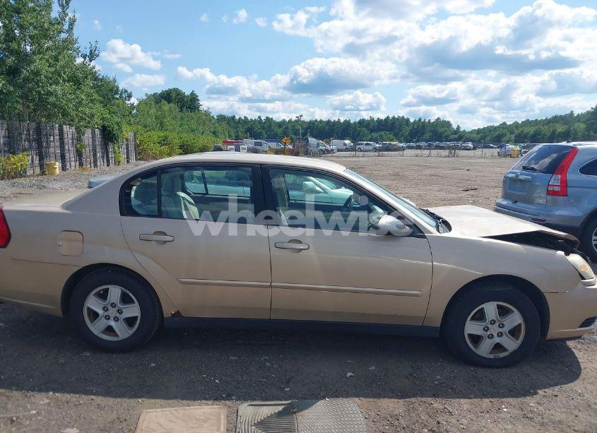 Photo 13 of 2004 Chevrolet Malibu LS (VIN 1G1ZT54874F122166)