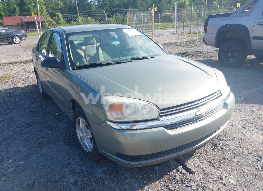 2005 Chevrolet Malibu LS (VIN 1G1ZT54885F273972) main photo