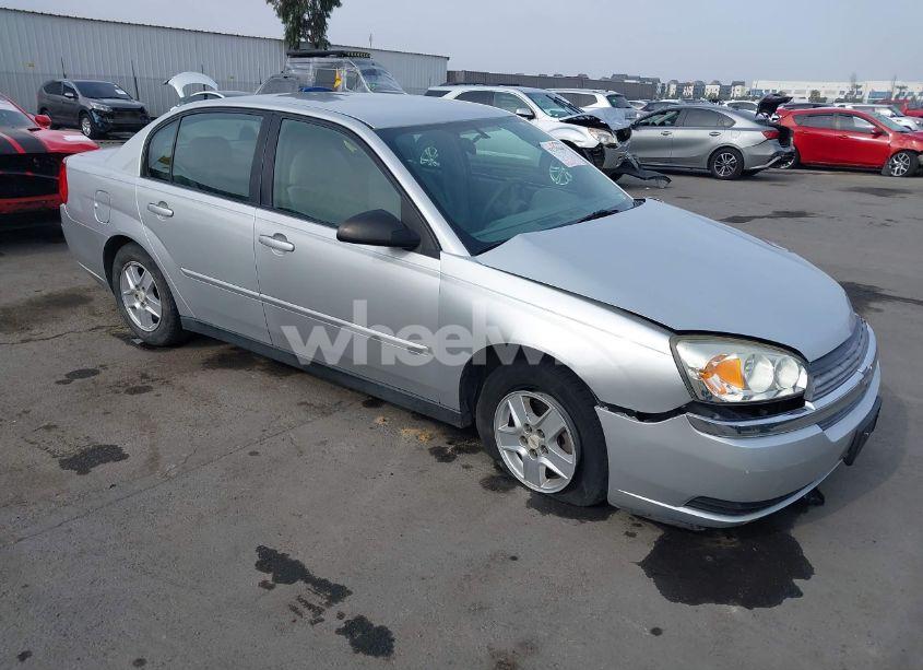 2005 Chevrolet Malibu LS (VIN 1G1ZT54895F143974) main photo