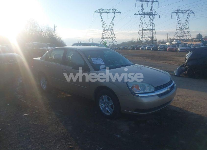2005 Chevrolet Malibu LS (VIN 1G1ZT54895F242715) main photo
