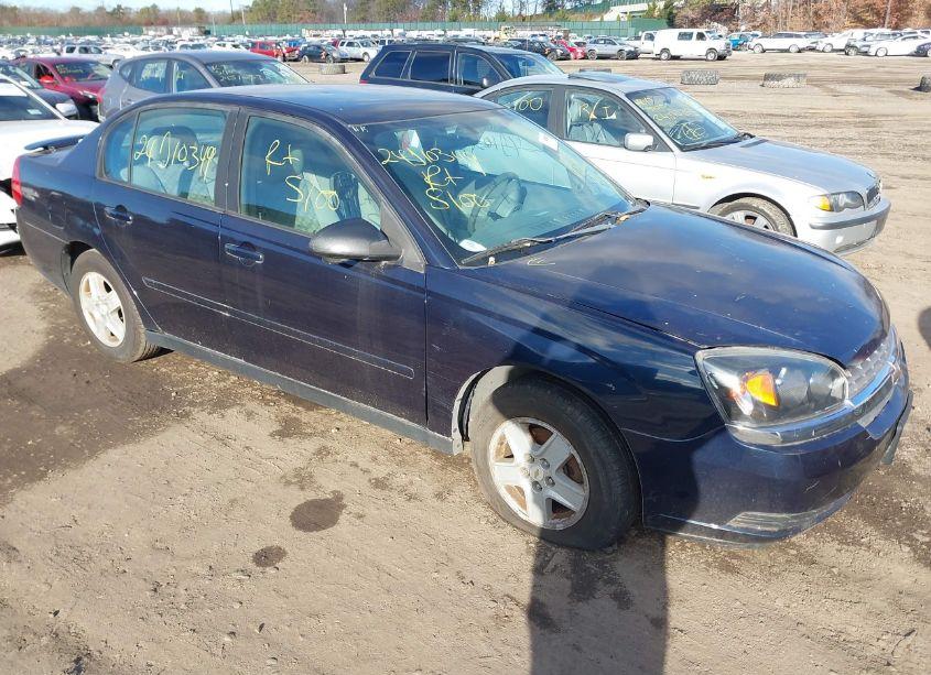 2005 Chevrolet Malibu LS (VIN 1G1ZT54895F266156) main photo