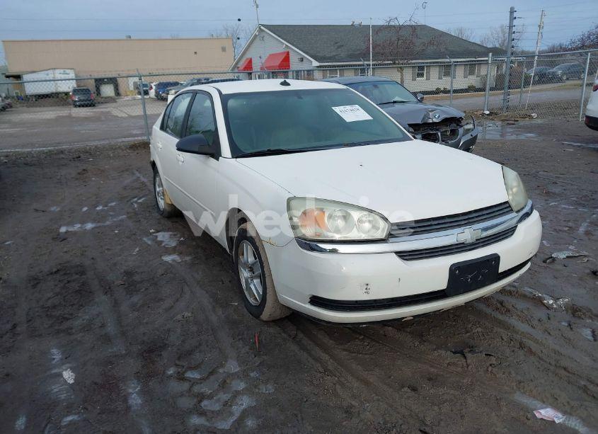 2004 Chevrolet Malibu LS (VIN 1G1ZT548X4F230779) main photo