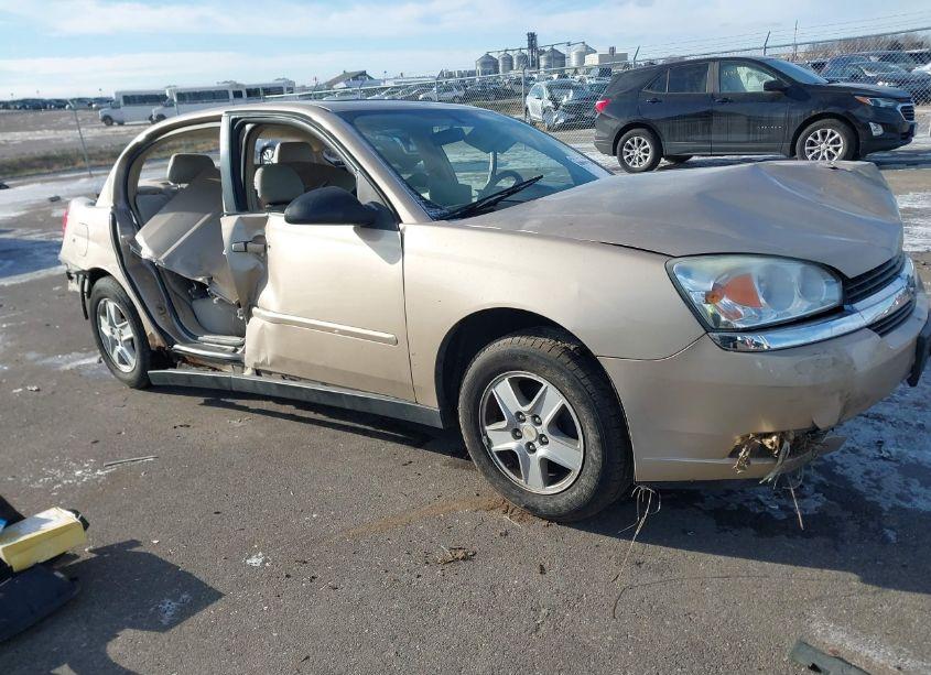 2005 Chevrolet Malibu LS (VIN 1G1ZT548X5F179642) main photo
