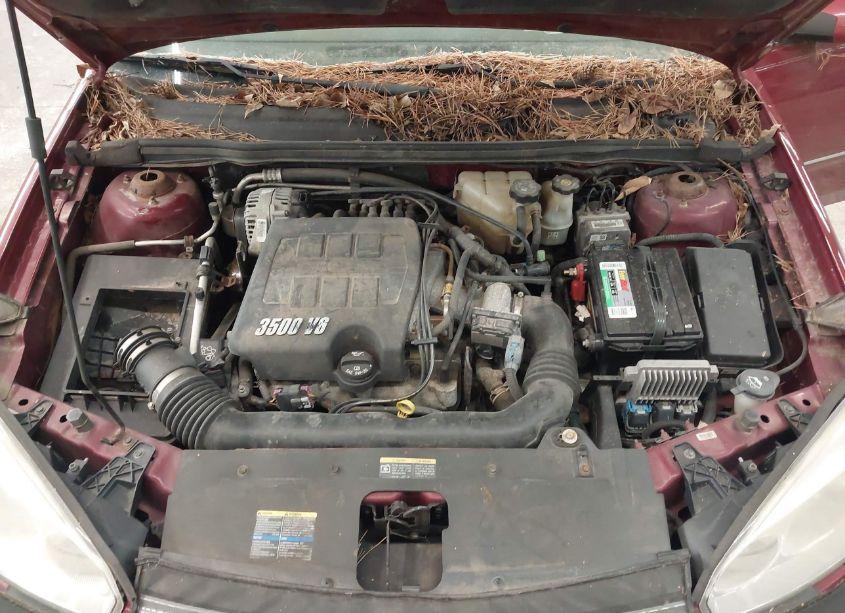 Photo 10 of 2006 Chevrolet Malibu MAXX LT (VIN 1G1ZT61816F148937)