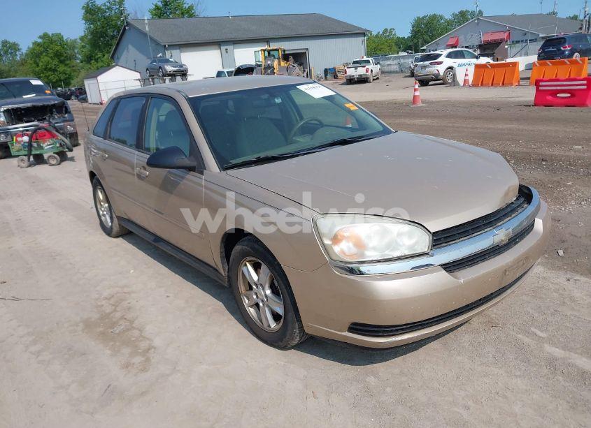 2005 Chevrolet Malibu MAXX LS (VIN 1G1ZT62845F105674) main photo